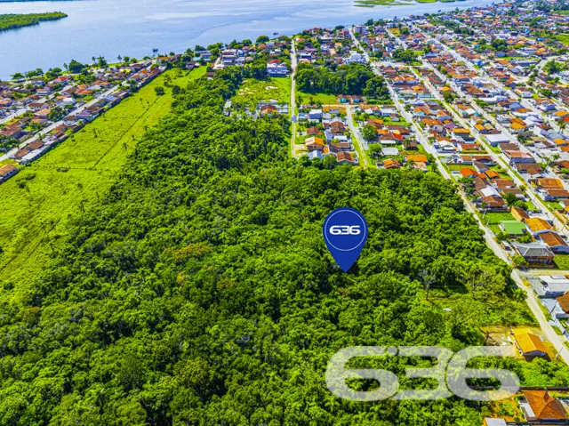 Descubra a essência de viver em harmonia com a nat