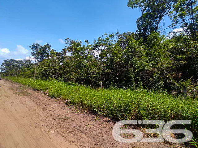 VENDE-SE AMPLO TERRENO NO ERVINO, SÃO FRANCISCO DO