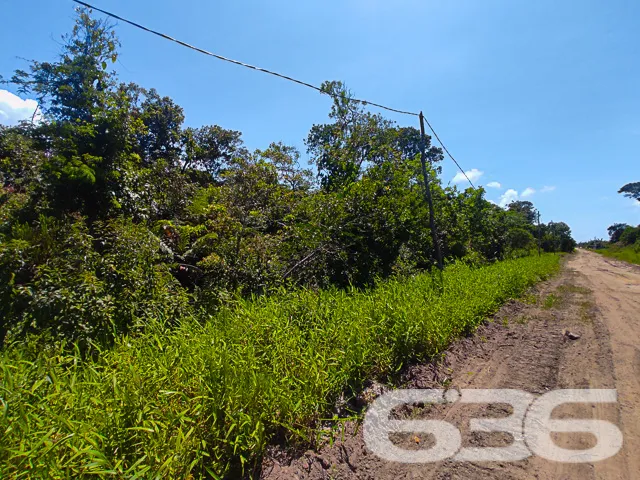 VENDE-SE AMPLO TERRENO NO ERVINO, SÃO FRANCISCO DO