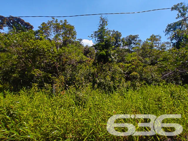 VENDE-SE AMPLO TERRENO NO ERVINO, SÃO FRANCISCO DO