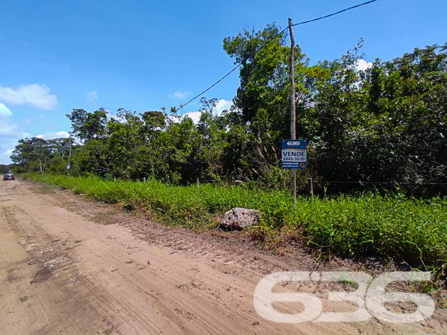 VENDE-SE AMPLO TERRENO NO ERVINO, SÃO FRANCISCO DO