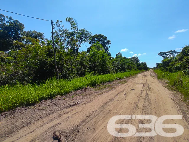 ERVINO, SÃO FRANCISCO DO SUL: INVISTA NESTE TERREN