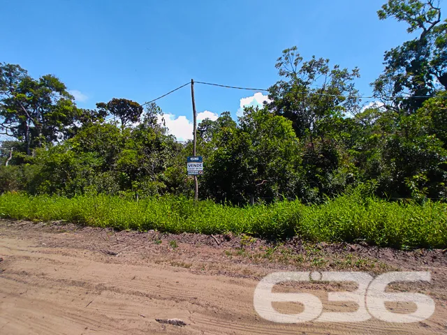 ERVINO, SÃO FRANCISCO DO SUL: INVISTA NESTE TERREN