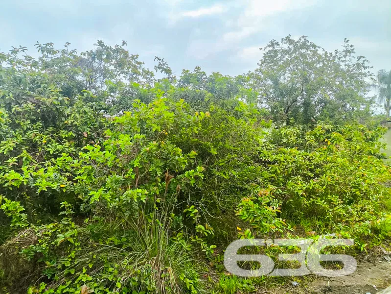 Apresentamos uma oportunidade singular para adquir