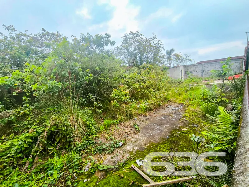 Apresentamos uma oportunidade singular para adquir