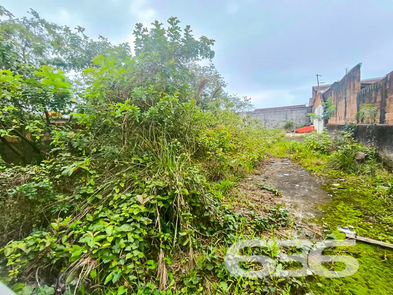 Apresentamos uma oportunidade singular para adquir