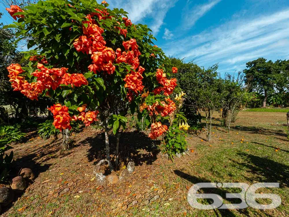 TERRENO INDUSTRIAL À VENDA EM ARAQUARI

Descubra u