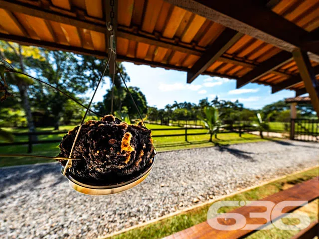 MARAVILHOSA CHÁCARA NO BAIRRO PINHEIROS EM BALNEÁR