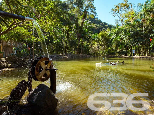 EXCELENTE CHÁCARA SÍTIO COM 25 MIL METROS QUADRADO