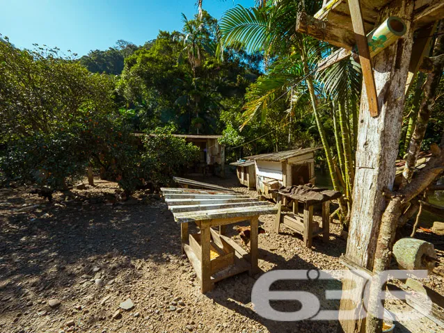 EXCELENTE CHÁCARA SÍTIO COM 25 MIL METROS QUADRADO