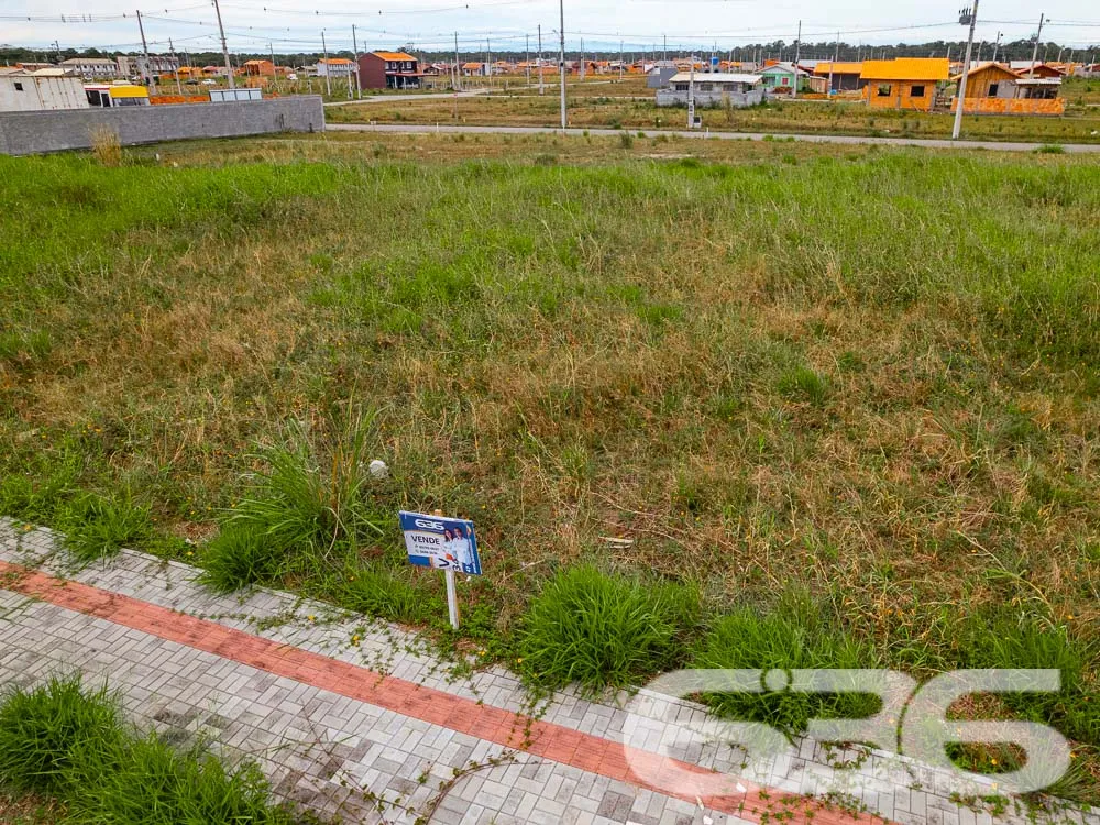 OPORTUNIDADE ÚNICA: TERRENO PLANO NO COLÉGIO AGRÍC