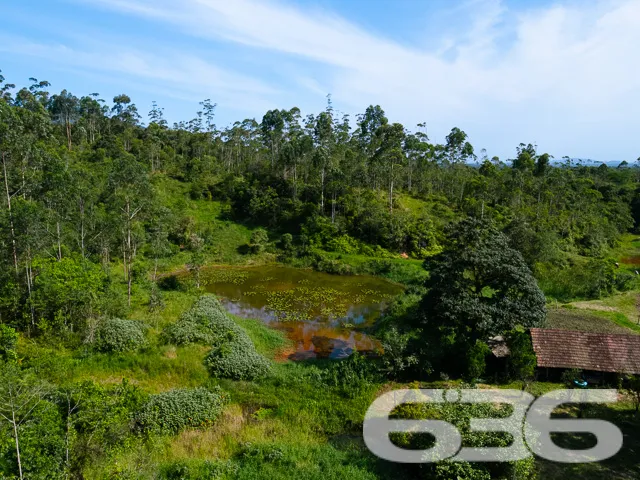 AMPLA CHÁCARA NO QUIRIRI - JOINVILLE!
Descubra o