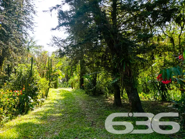 AMPLA CHÁCARA NO QUIRIRI - JOINVILLE!
Descubra o