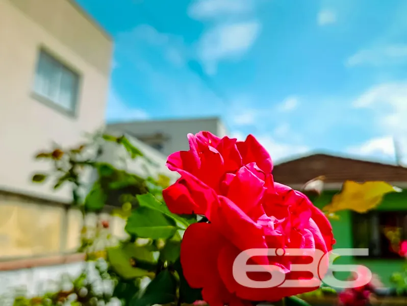 Oportunidade Ănica no Bairro Atiradores, Joinville