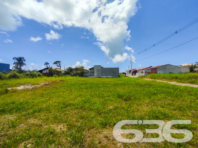 TERRENO DE ESQUINA NO BAIRRO ERVINO - SÃO FRANCISC
