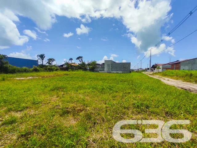TERRENO DE ESQUINA NO BAIRRO ERVINO - SÃO FRANCISC