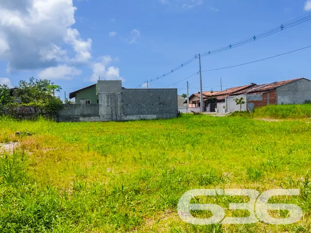 TERRENO DE ESQUINA NO BAIRRO ERVINO - SÃO FRANCISC