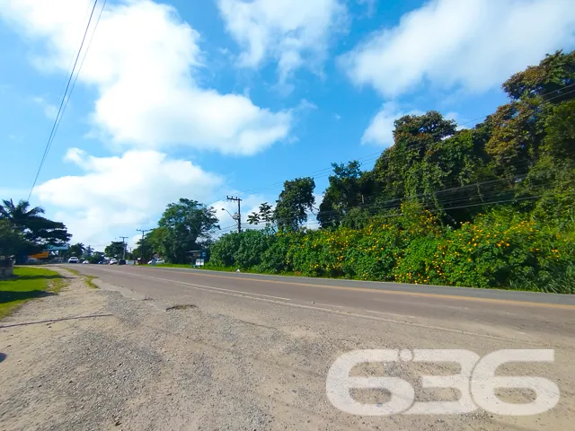 Descubra o potencial deste magnífico terreno em Sã