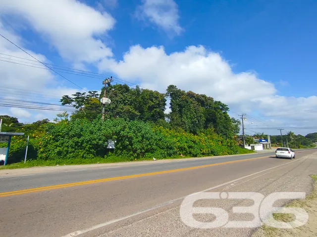 Descubra o potencial deste magnífico terreno em Sã