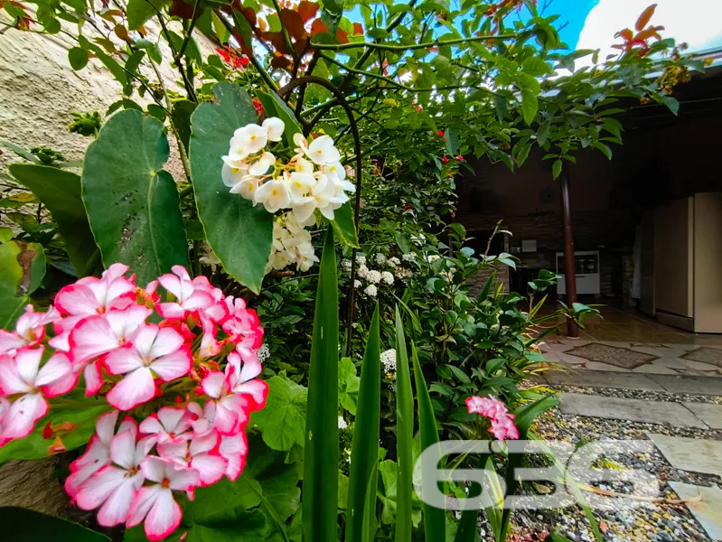 Casa à venda no bairro Petrópolis, Joinville | 3 q