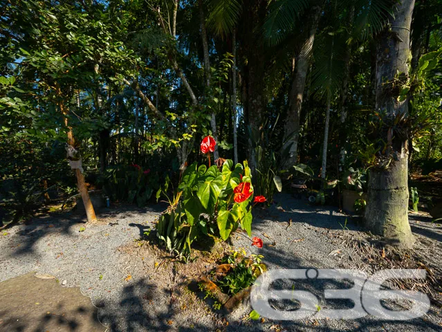 Descubra a Paz e o Conforto no Coração de Joinvill