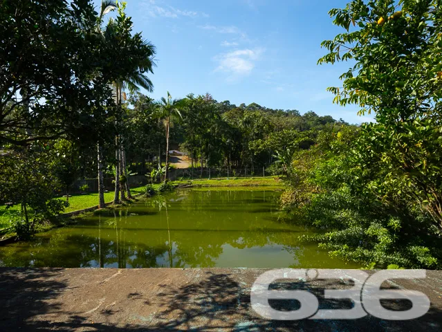 Descubra a Paz e o Conforto no Coração de Joinvill