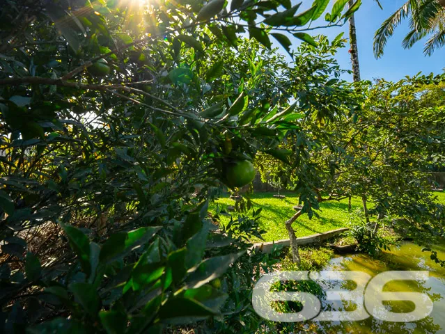 Descubra a Paz e o Conforto no Coração de Joinvill
