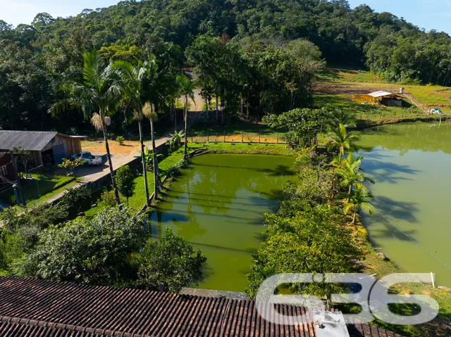 Descubra a Paz e o Conforto no Coração de Joinvill