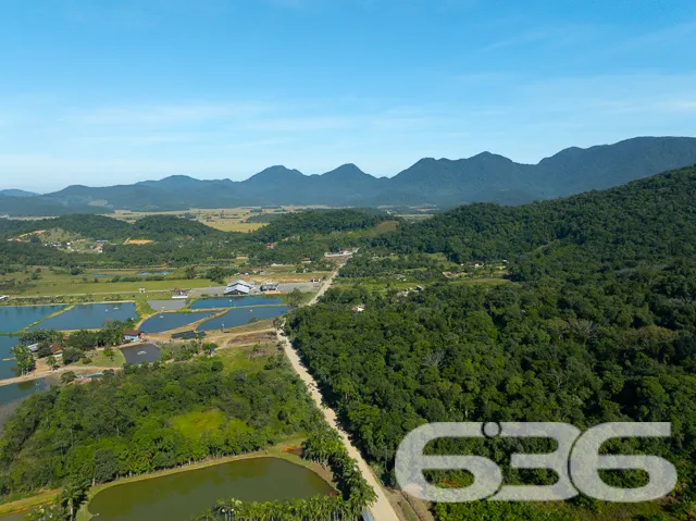 Descubra a Paz e o Conforto no Coração de Joinvill