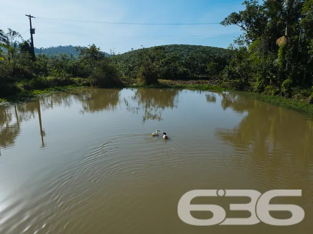 Apresentamos uma oportunidade excepcional para que