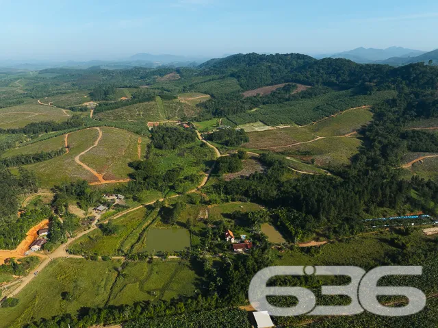 Apresentamos uma oportunidade excepcional para que