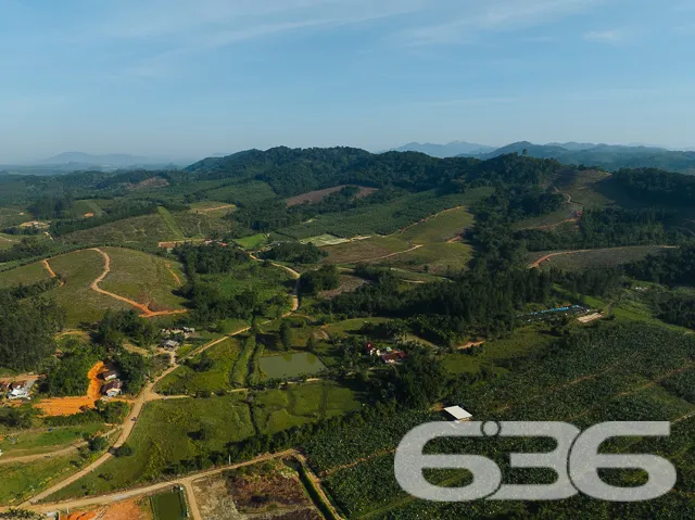 Apresentamos uma oportunidade excepcional para que