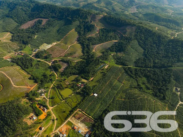 Apresentamos uma oportunidade excepcional para que