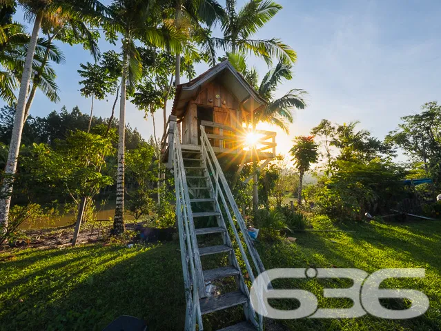 Apresentamos uma oportunidade excepcional para que