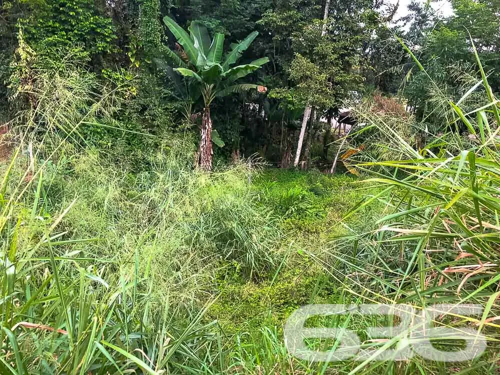 Terreno Espaçoso à Venda em Pirabeiraba Centro

De