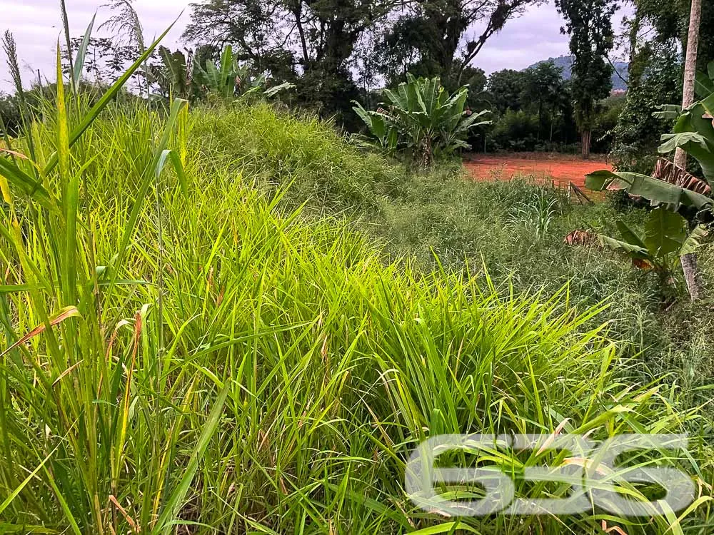 Terreno Espaçoso à Venda em Pirabeiraba Centro

De