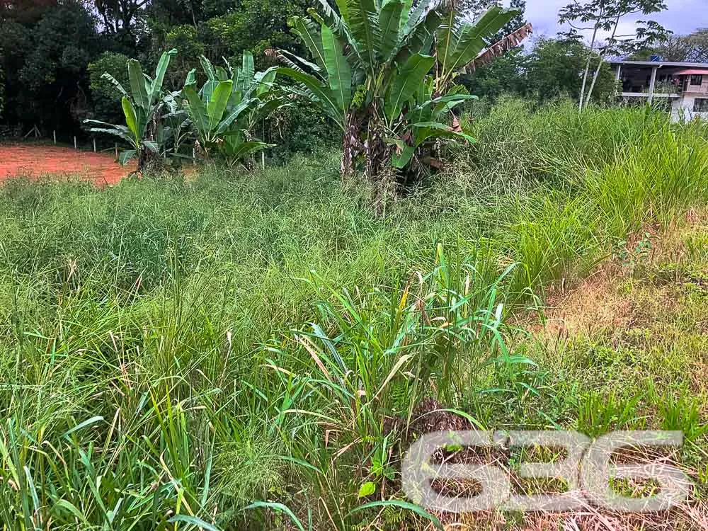 Terreno Espaçoso à Venda em Pirabeiraba Centro

De