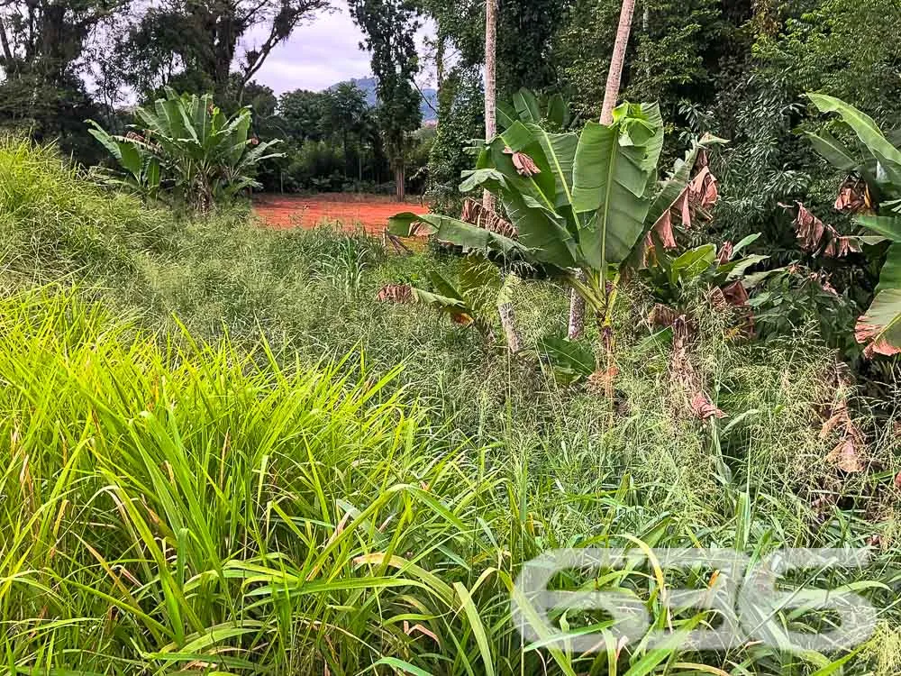 Terreno Espaçoso à Venda em Pirabeiraba Centro

De