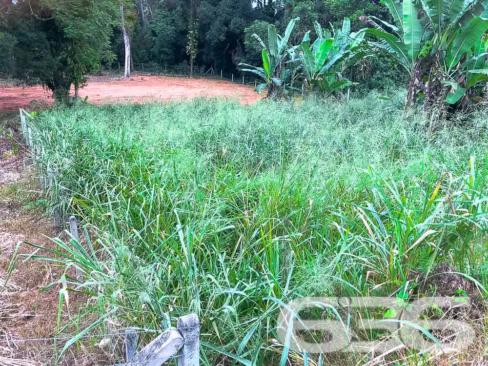 Terreno Espaçoso à Venda em Pirabeiraba Centro

De