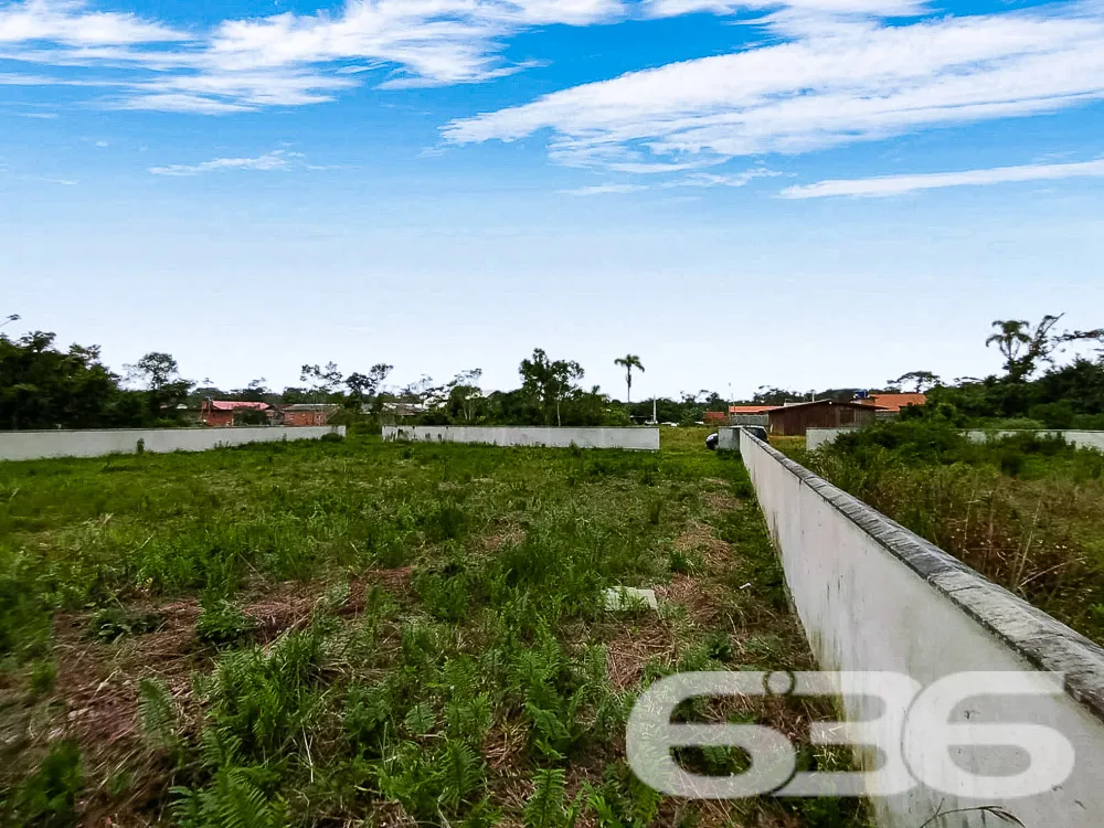 Terreno Plano e Murado em São Francisco do Sul - P
