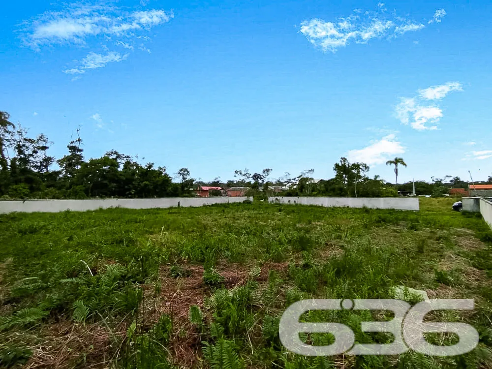Terreno Plano e Murado em São Francisco do Sul - P