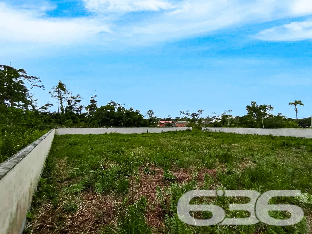 Terreno Plano e Murado em São Francisco do Sul - P