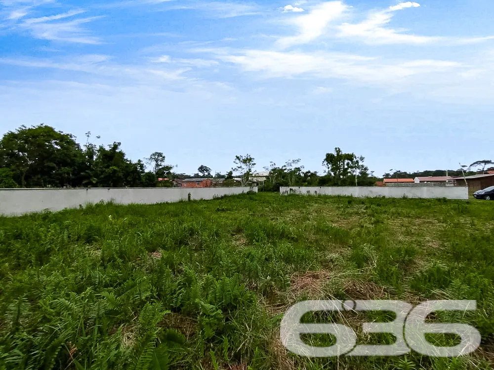 Terreno Plano e Murado em São Francisco do Sul - P