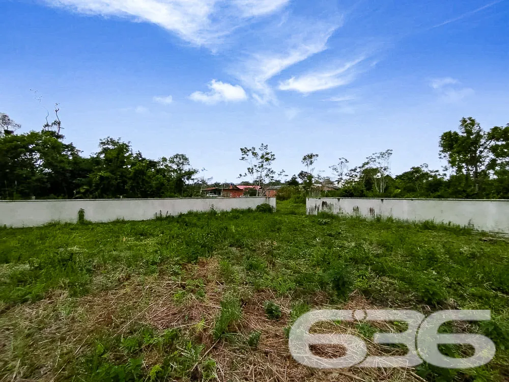 Terreno Plano e Murado em São Francisco do Sul - P