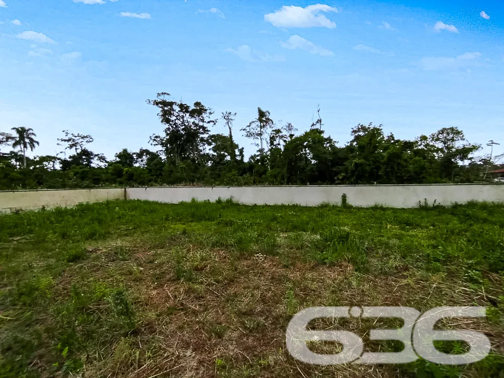 Terreno Plano e Murado em São Francisco do Sul - P