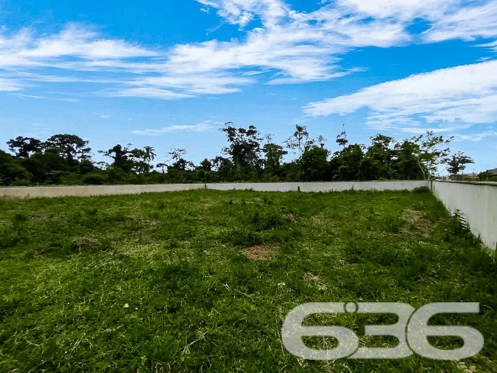 Terreno Plano e Murado em São Francisco do Sul - P