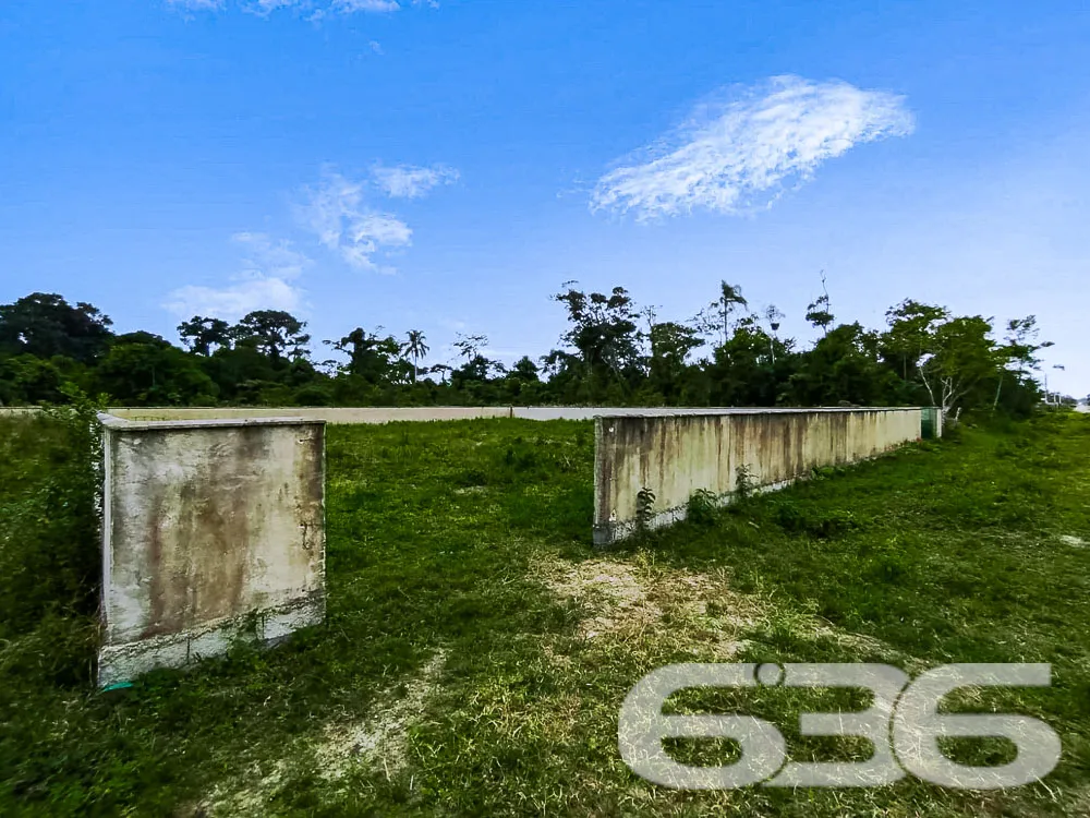 Terreno Plano e Murado em São Francisco do Sul - P