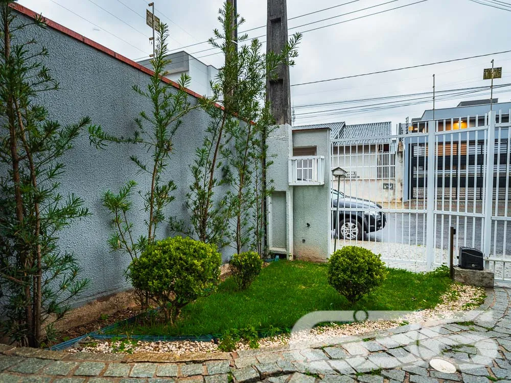 Geminado no Jardim Iririú, Joinville, SC

Já imagi