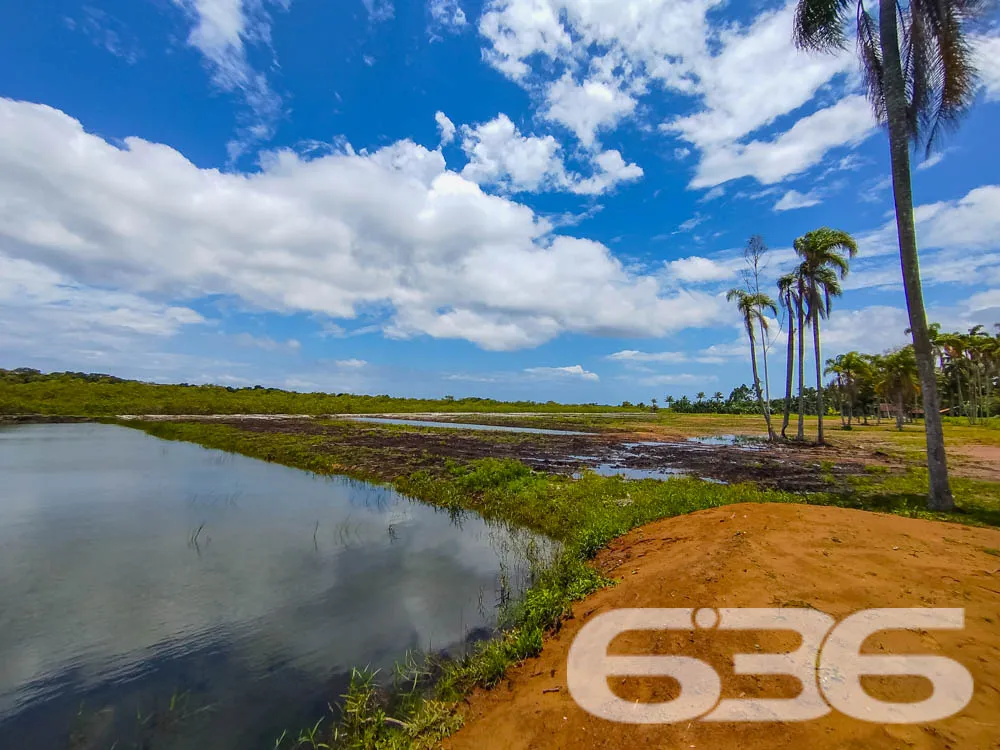 Terreno à Venda em Balneário Barra do Sul – SC
Exc