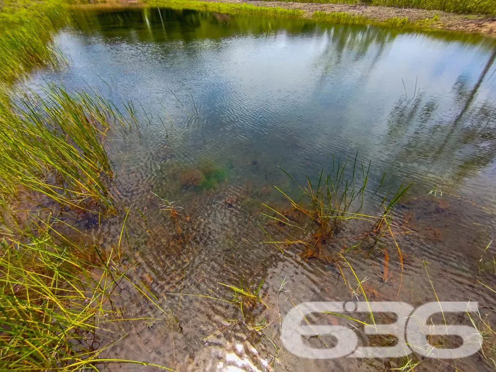 Terreno à Venda em Balneário Barra do Sul – SC
Exc